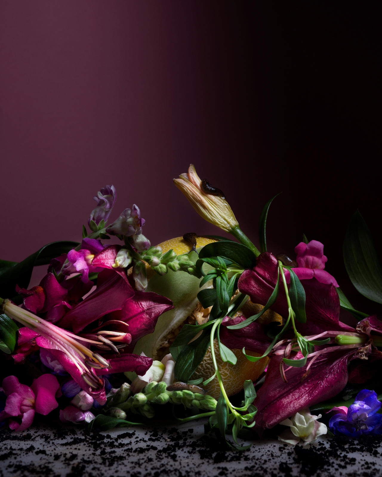 Alejandra Bacigalupi | Lo que habita el exceso