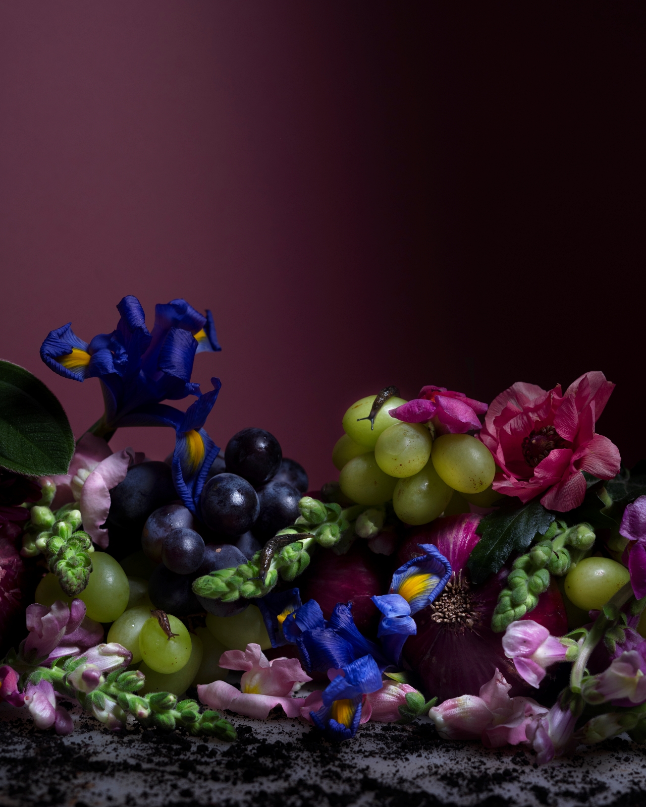 Alejandra Bacigalupi | Lo que habita el exceso