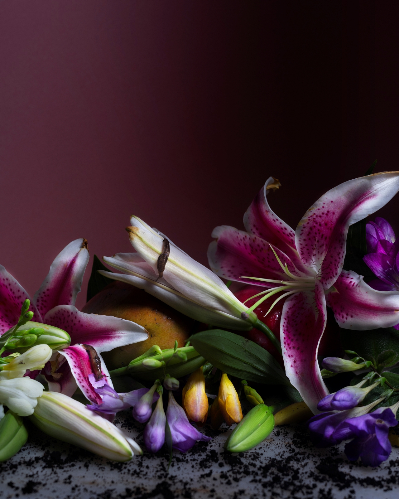 Alejandra Bacigalupi | Lo que habita el exceso