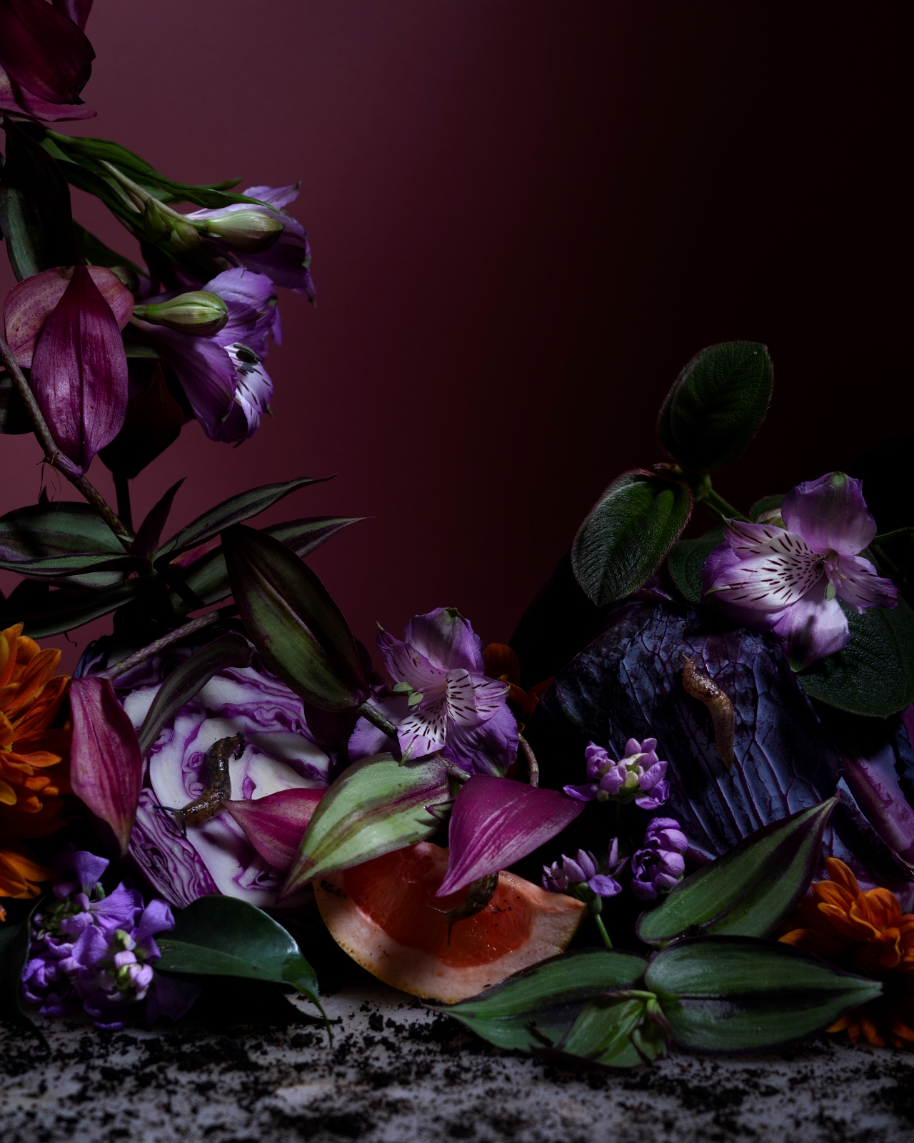 Alejandra Bacigalupi | Lo que habita el exceso