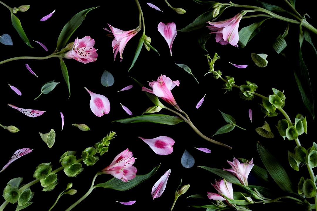 Alejandra Bacigalupi | Sobre lo frágil