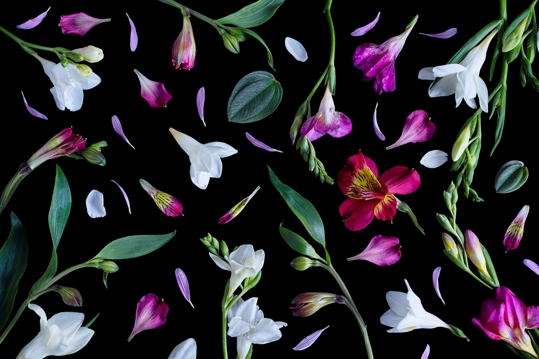 Alejandra Bacigalupi | Sobre lo frágil