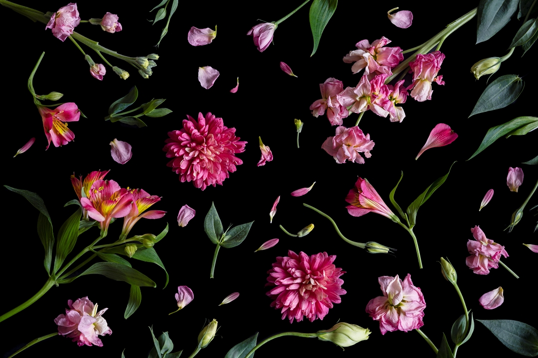 Alejandra Bacigalupi | Sobre lo frágil