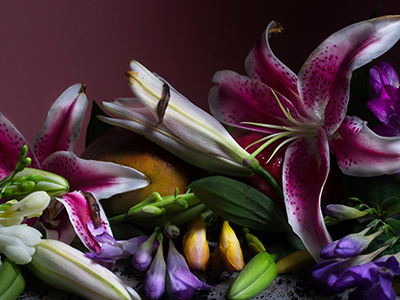 Lo que habita el exceso